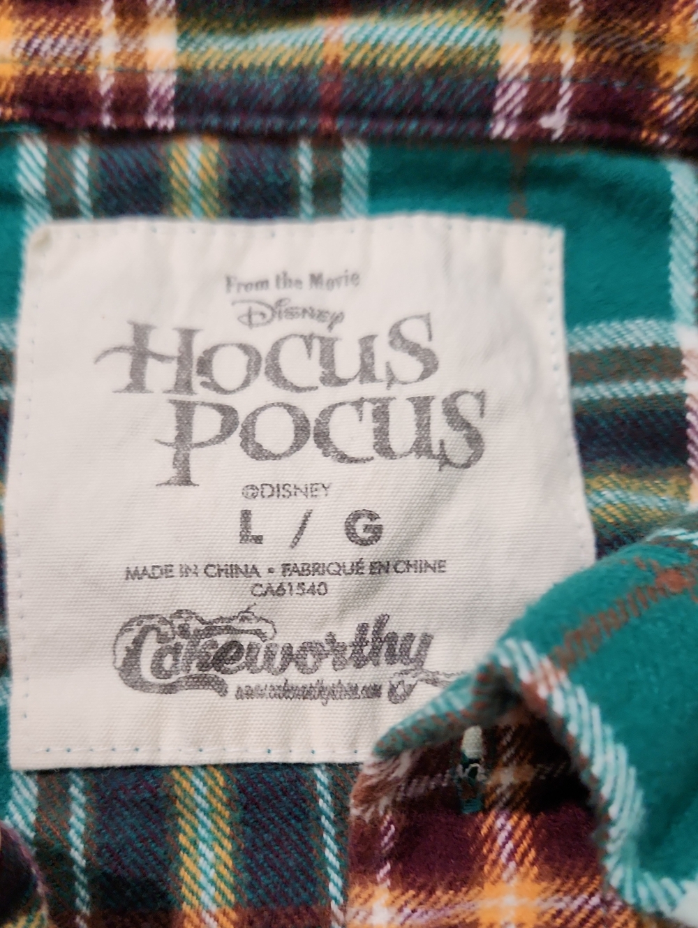 Disney + Cakeworthy Hocus Pocus Winifred Flannel Size Large - Picture 10 of 12